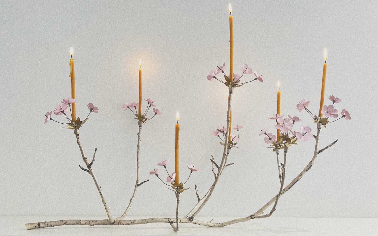 Christopher Thompson Royds, Cherry Branch