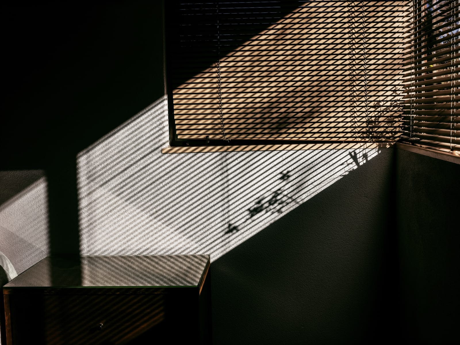 Michele Asselin, Exposure 660, 2020