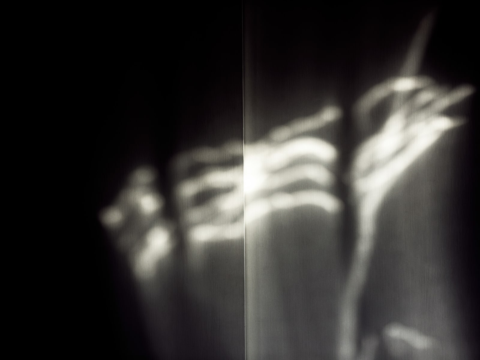 Michele Asselin, Exposure 813, 2020