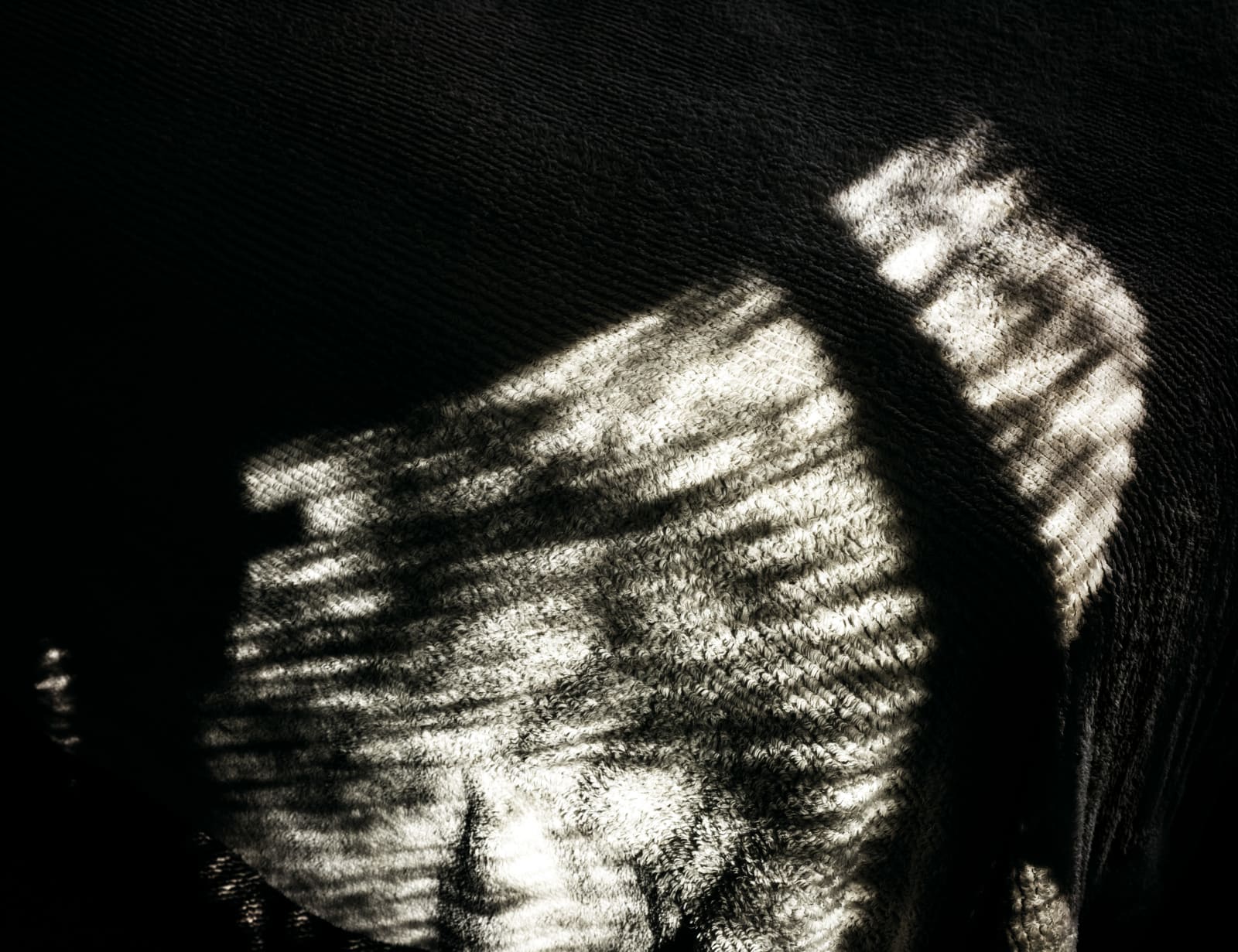 Michele Asselin, Exposure 15, 2020