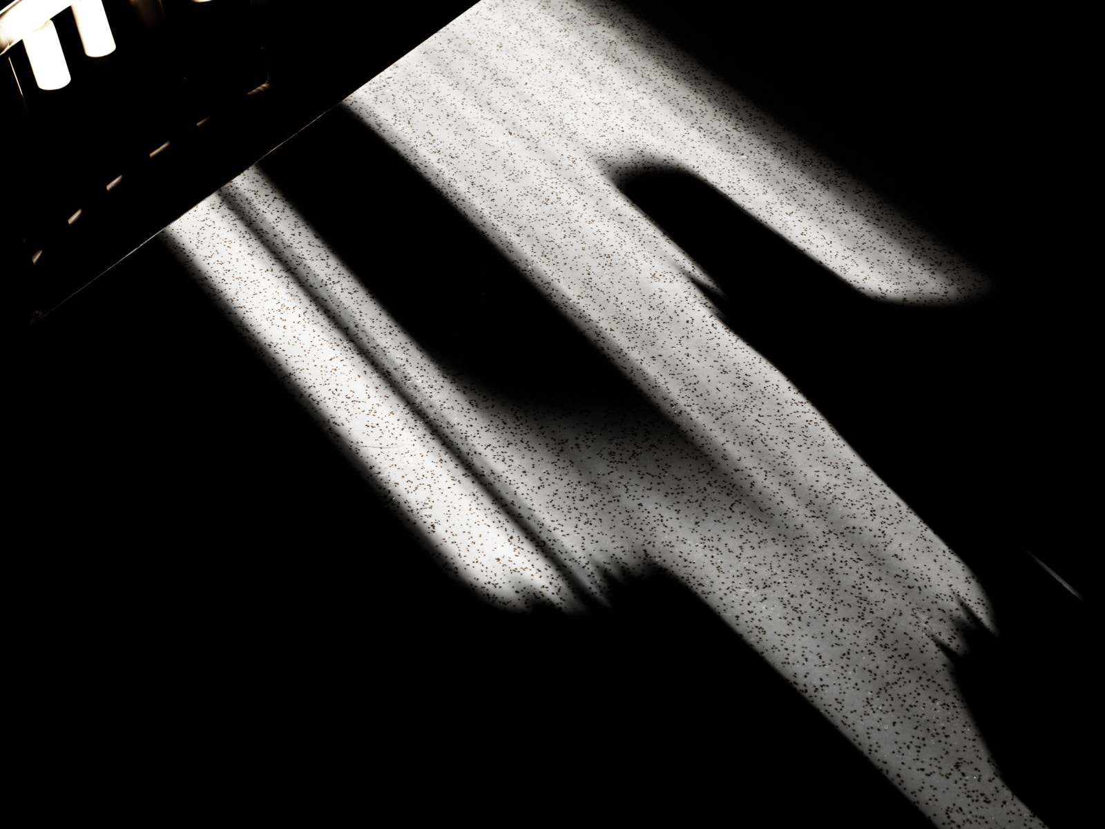 Michele Asselin, Exposure 48, 2020