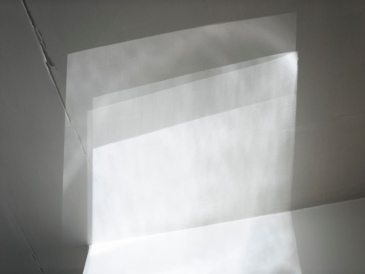 Michele Asselin, Exposure 26, 2020