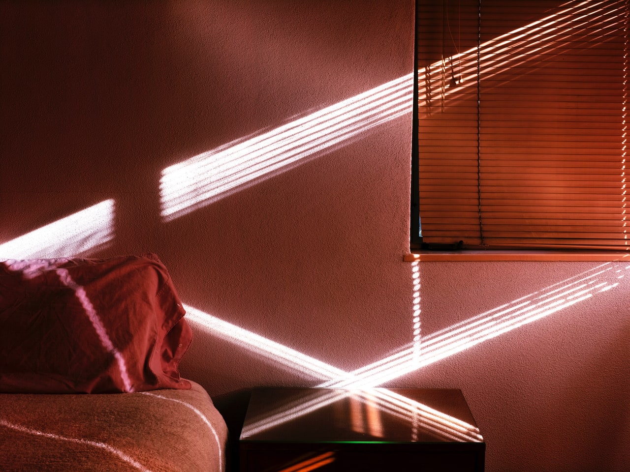Michele Asselin, Exposure 65, 2020