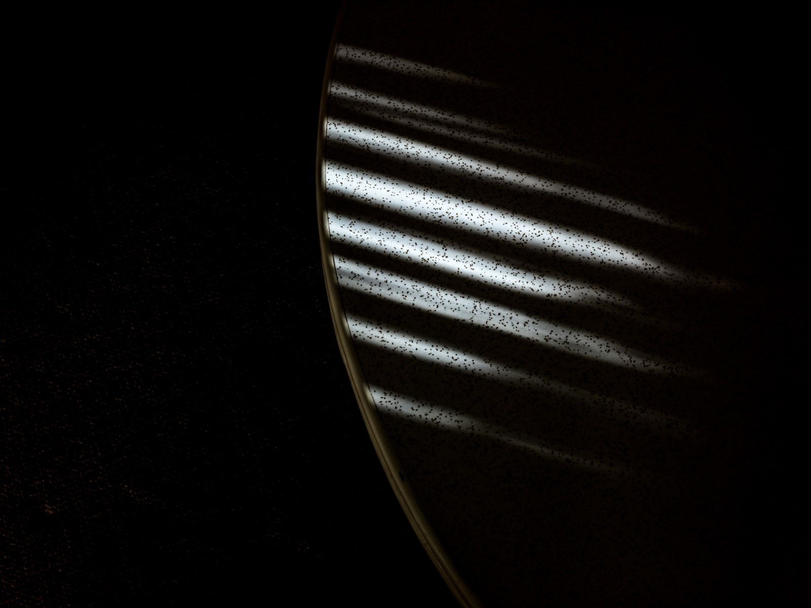 Michele Asselin, Exposure 96, 2020