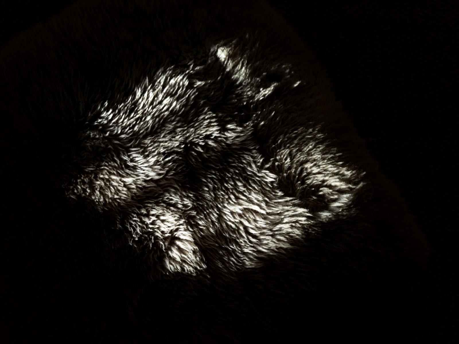 Michele Asselin, Exposure 57, 2020