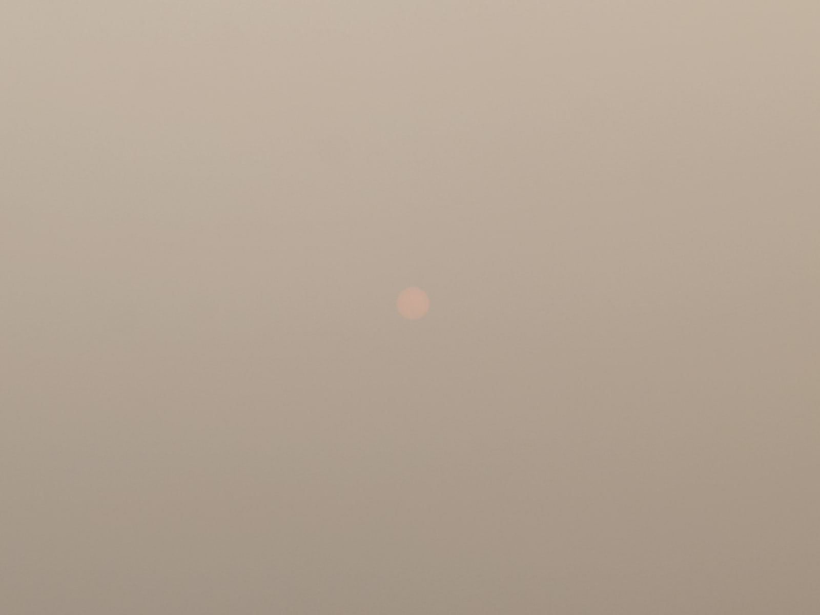 Michele Asselin, Exposure 13, 2020