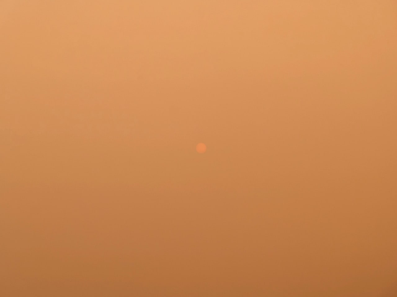 Michele Asselin, Exposure 14, 2020