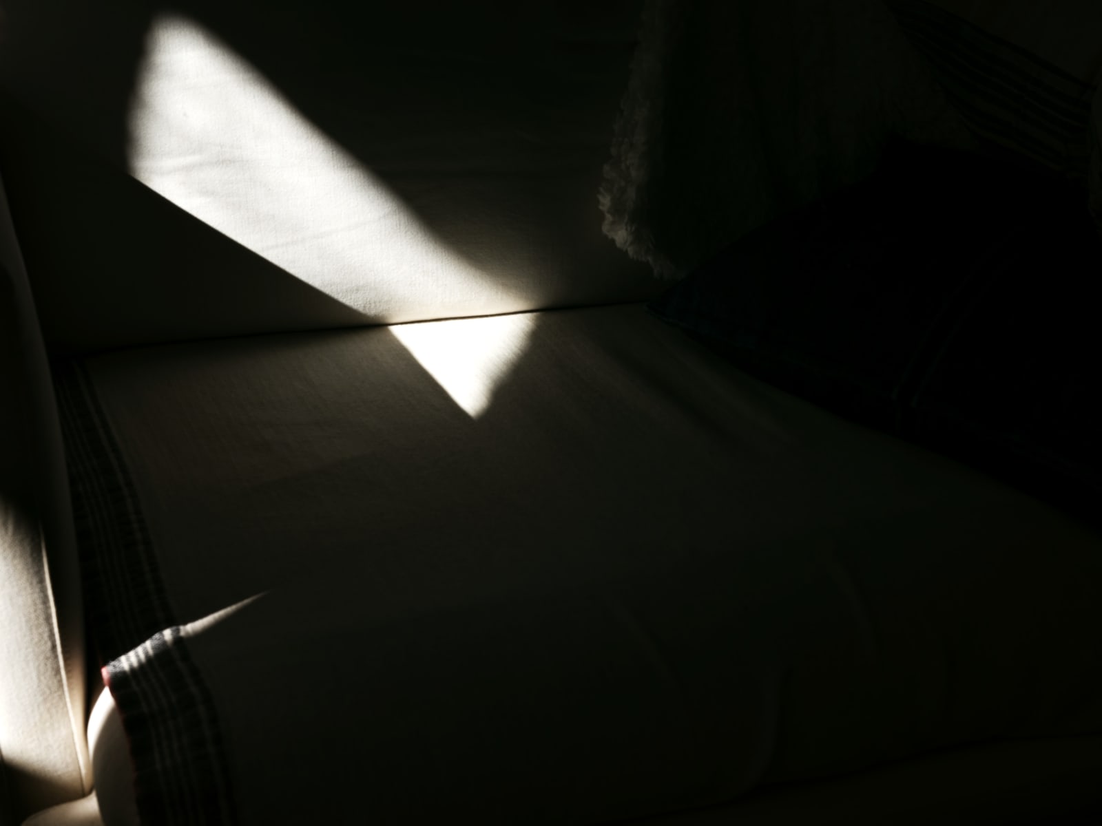 Michele Asselin, Exposure 60, 2020