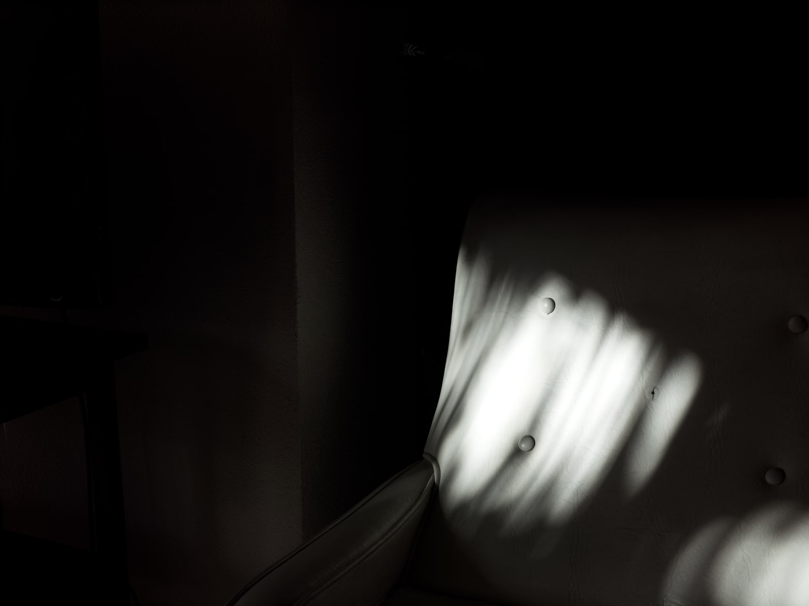 Michele Asselin, Exposure 19, 2020