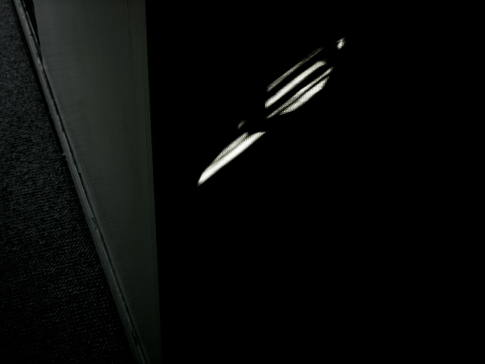 Michele Asselin, Exposure 41, 2020