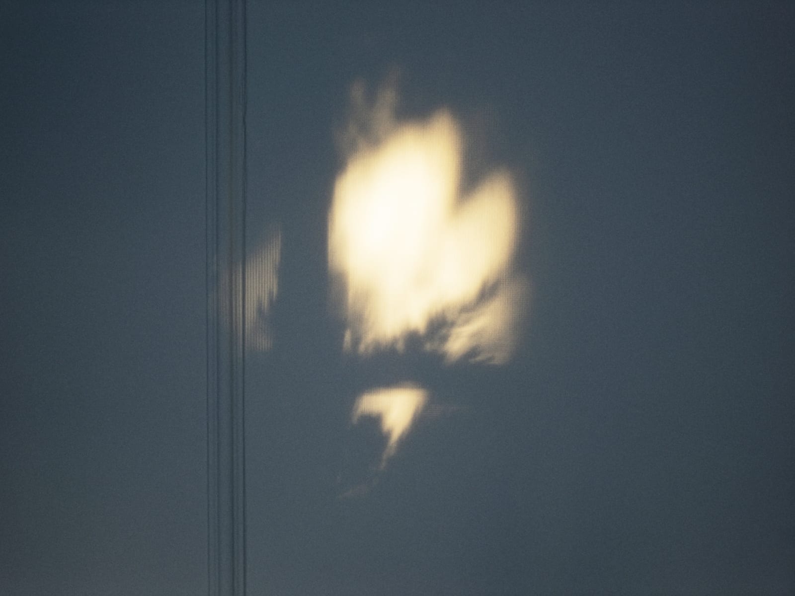 Michele Asselin, Exposure 54, 2020