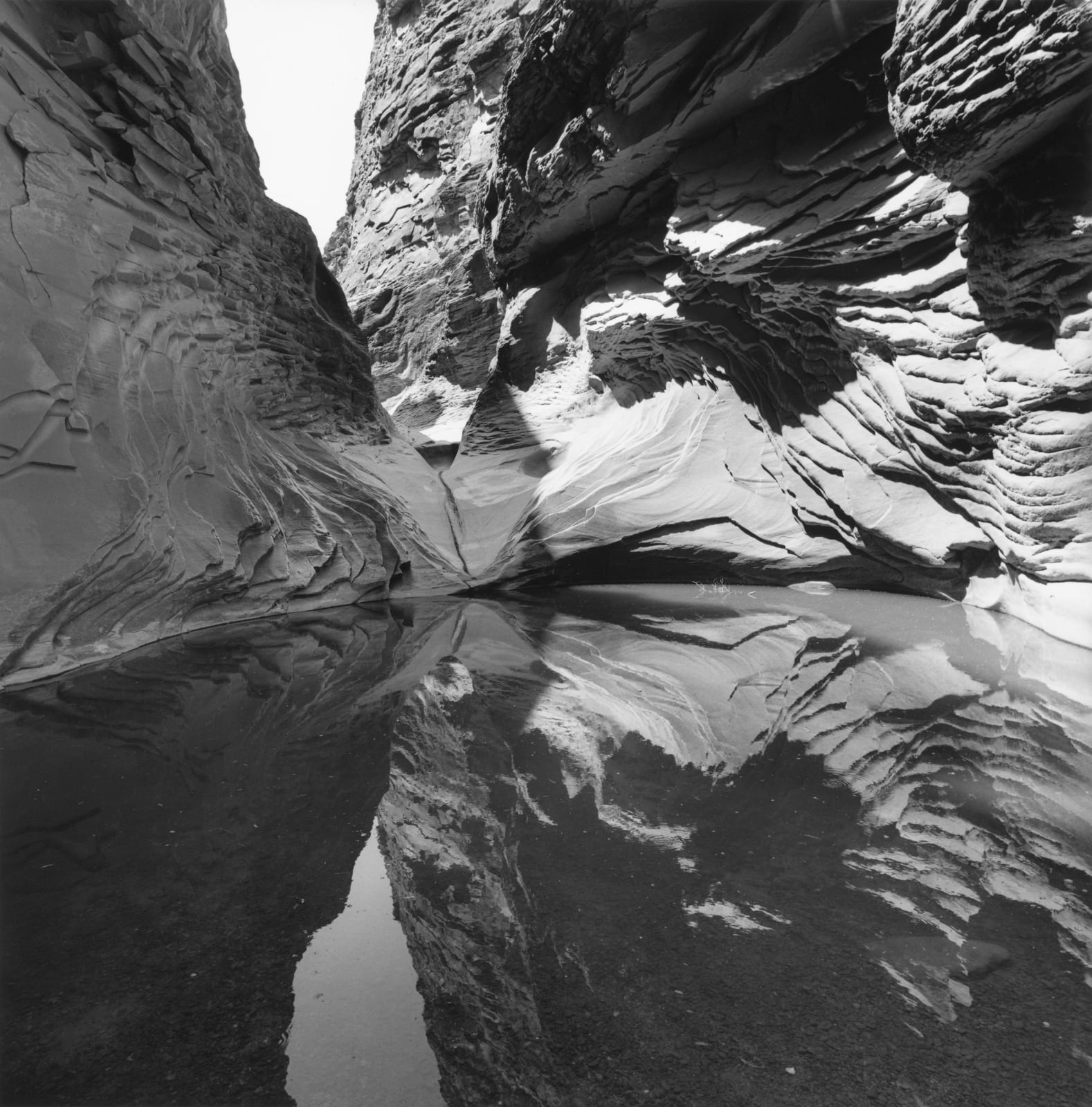 Lee Friedlander, Grand Canyon National Park, Arizona, 1992/printed 2014
