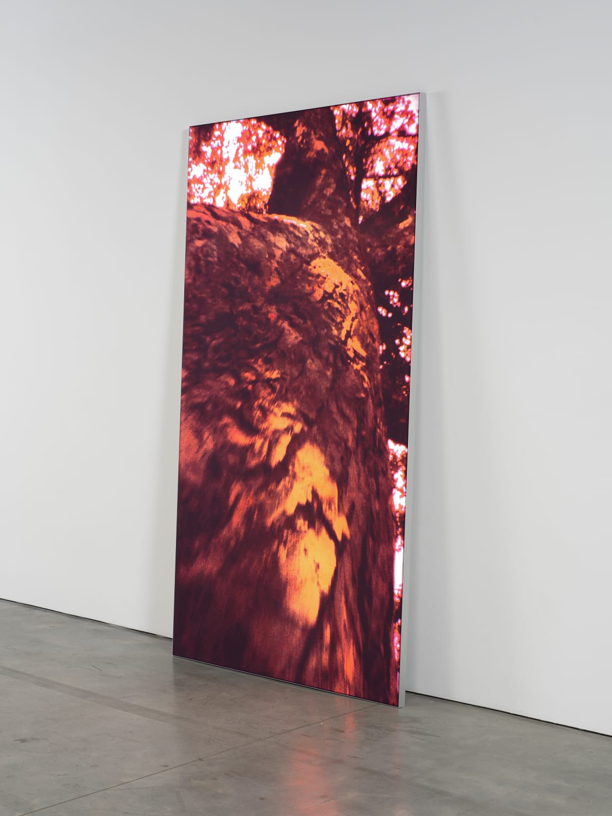 Pipilotti Rist, Untitled 2, 2009