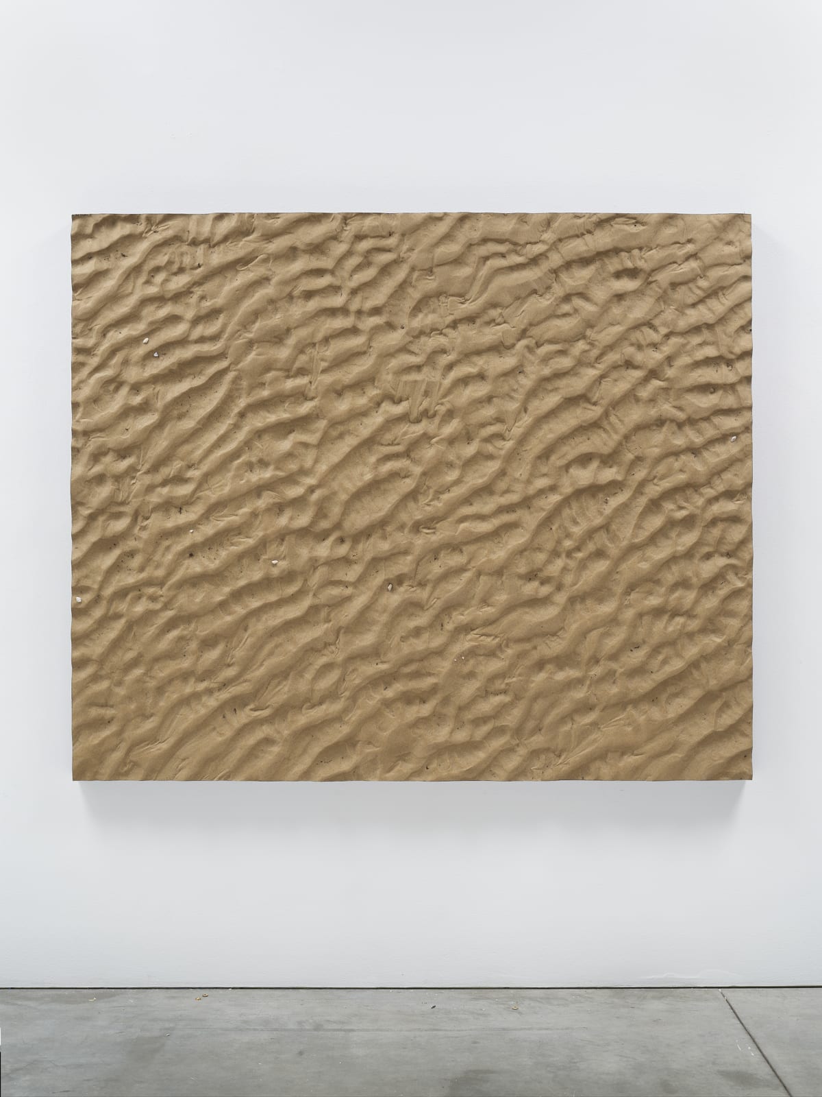 Boyle Family, Tidal Sand Study, Camber, 2003-2005