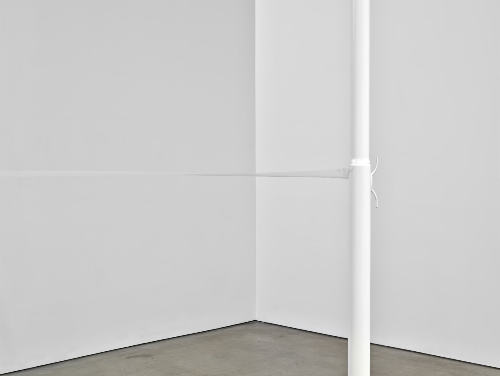 Lucia Nogueira, Bald Fact, 1995