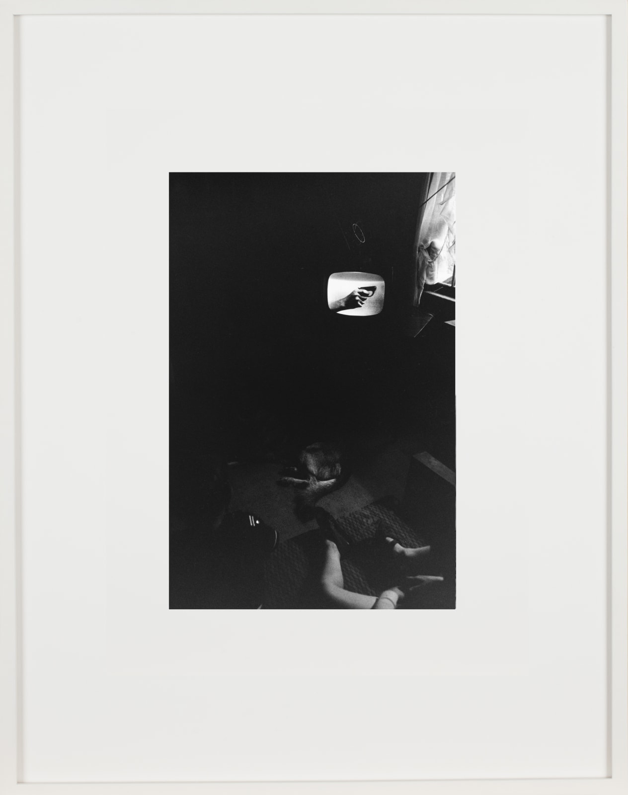 Lee Friedlander, New York State, 1965 / printed 1960s