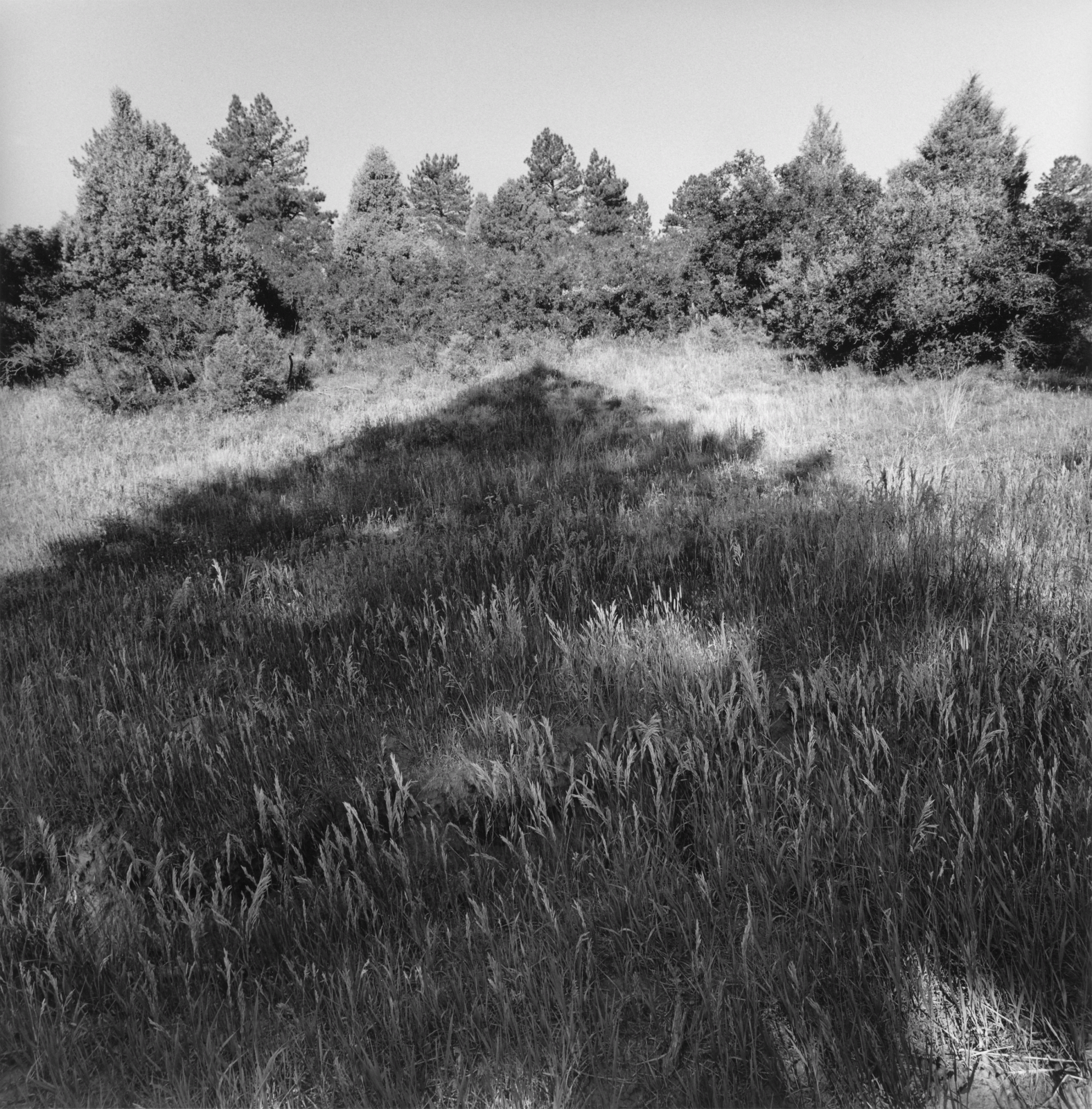 Lee Friedlander, Colorado, 2003 / printed 2004