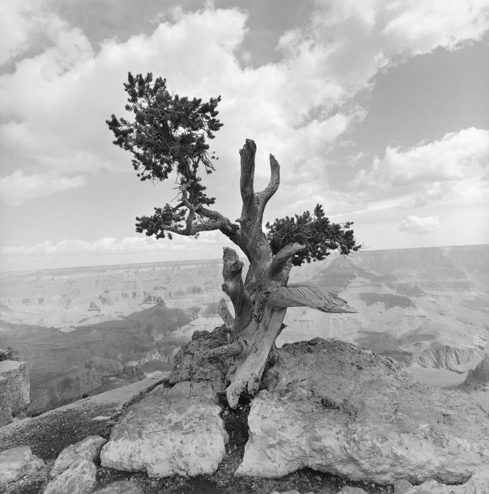 Lee Friedlander, Grand Canyon National Park, Arizona, 1997/printed 2019