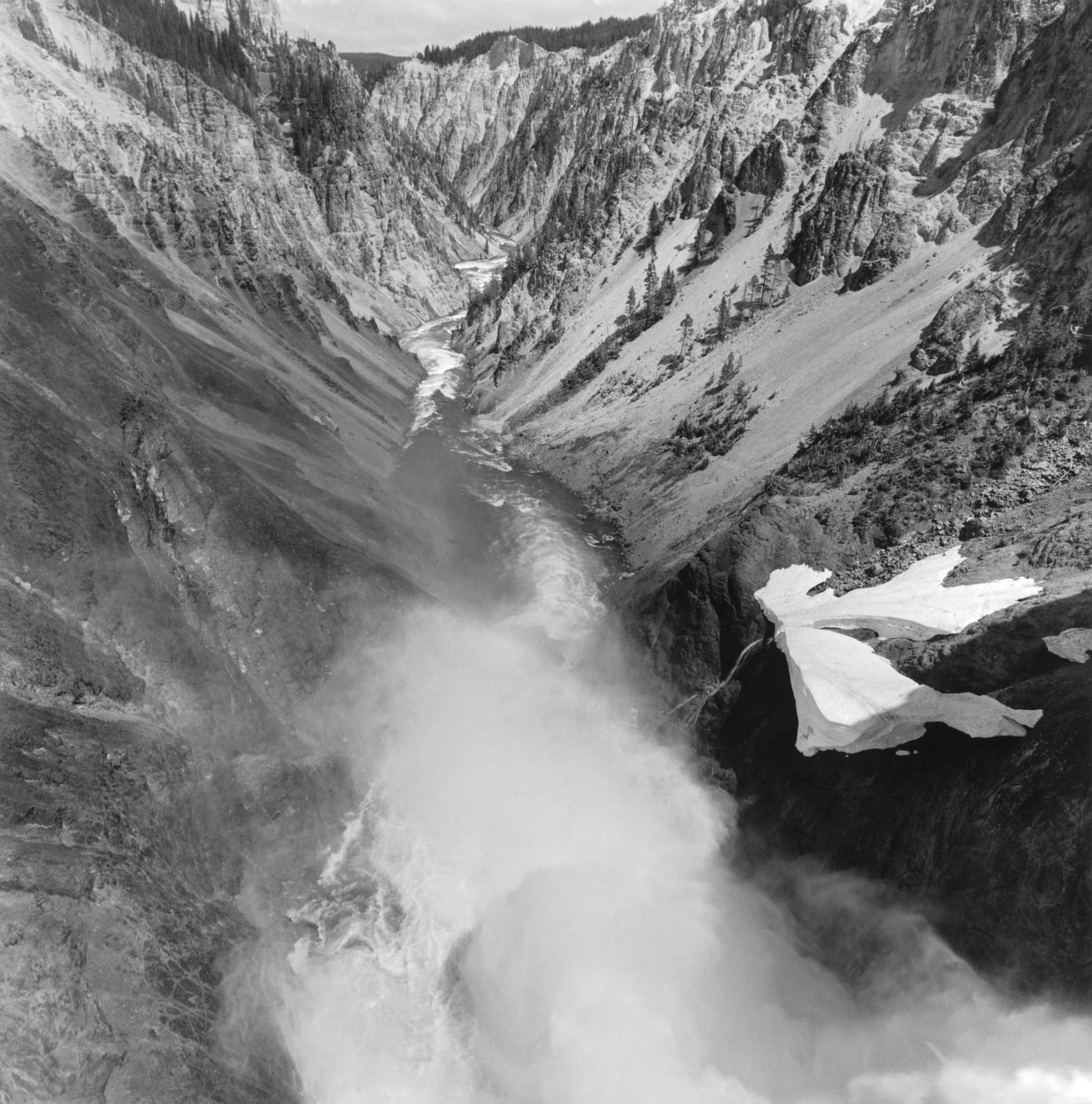 Lee Friedlander, Yellowstone National Park, Wyoming, 1993 / printed 2016
