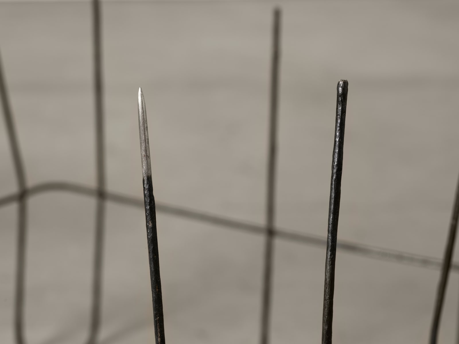 Lucia Nogueira, Untitled, 1994