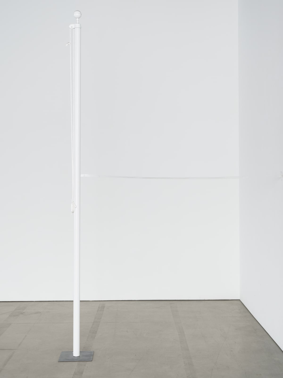 Lucia Nogueira, Bald Fact, 1995