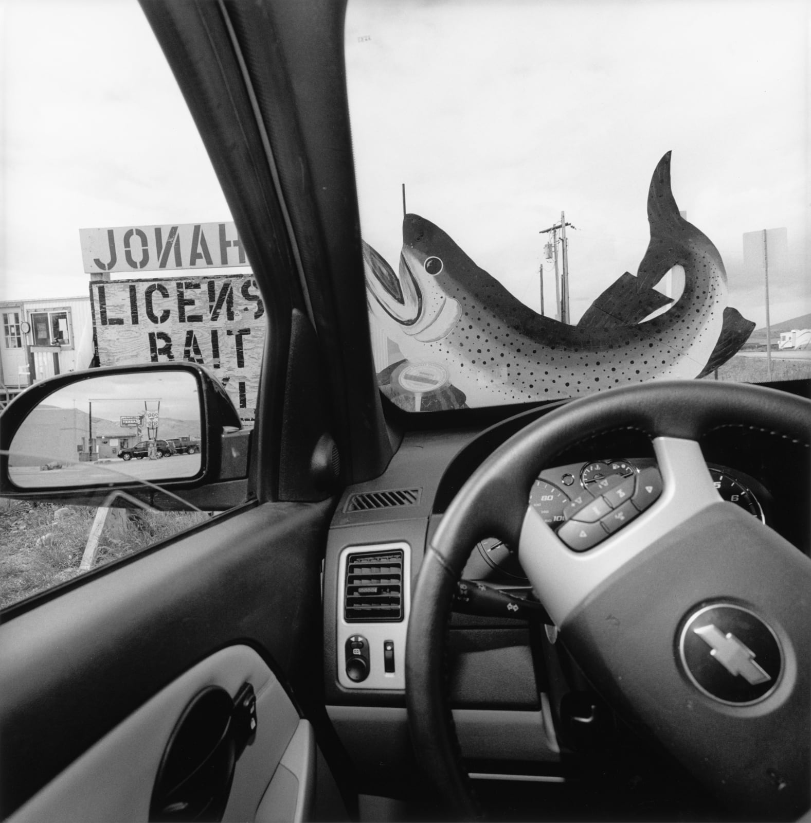 Lee Friedlander, Colorado, 2007 / printed 2010