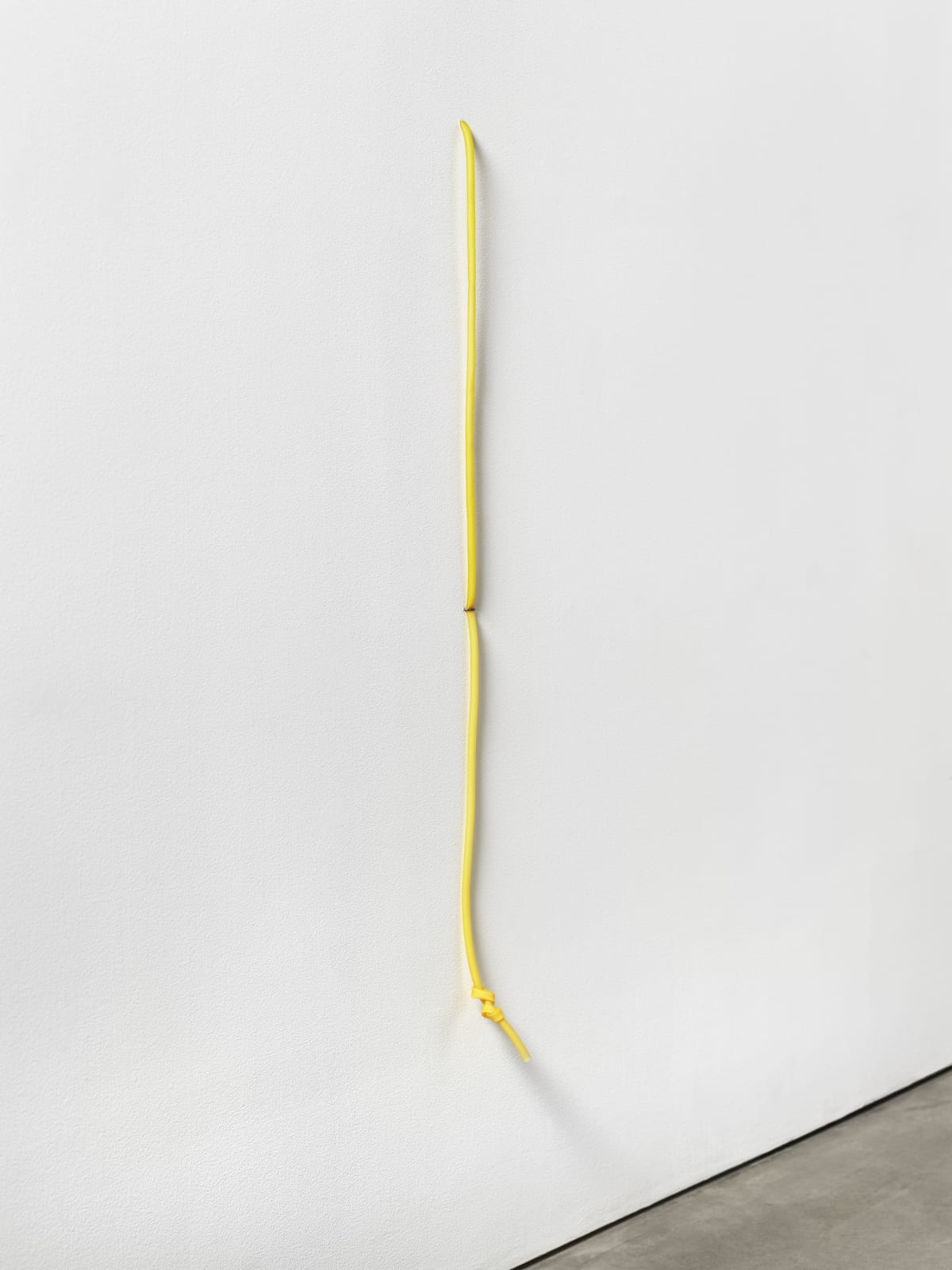 Lucia Nogueira, Untitled, 1990