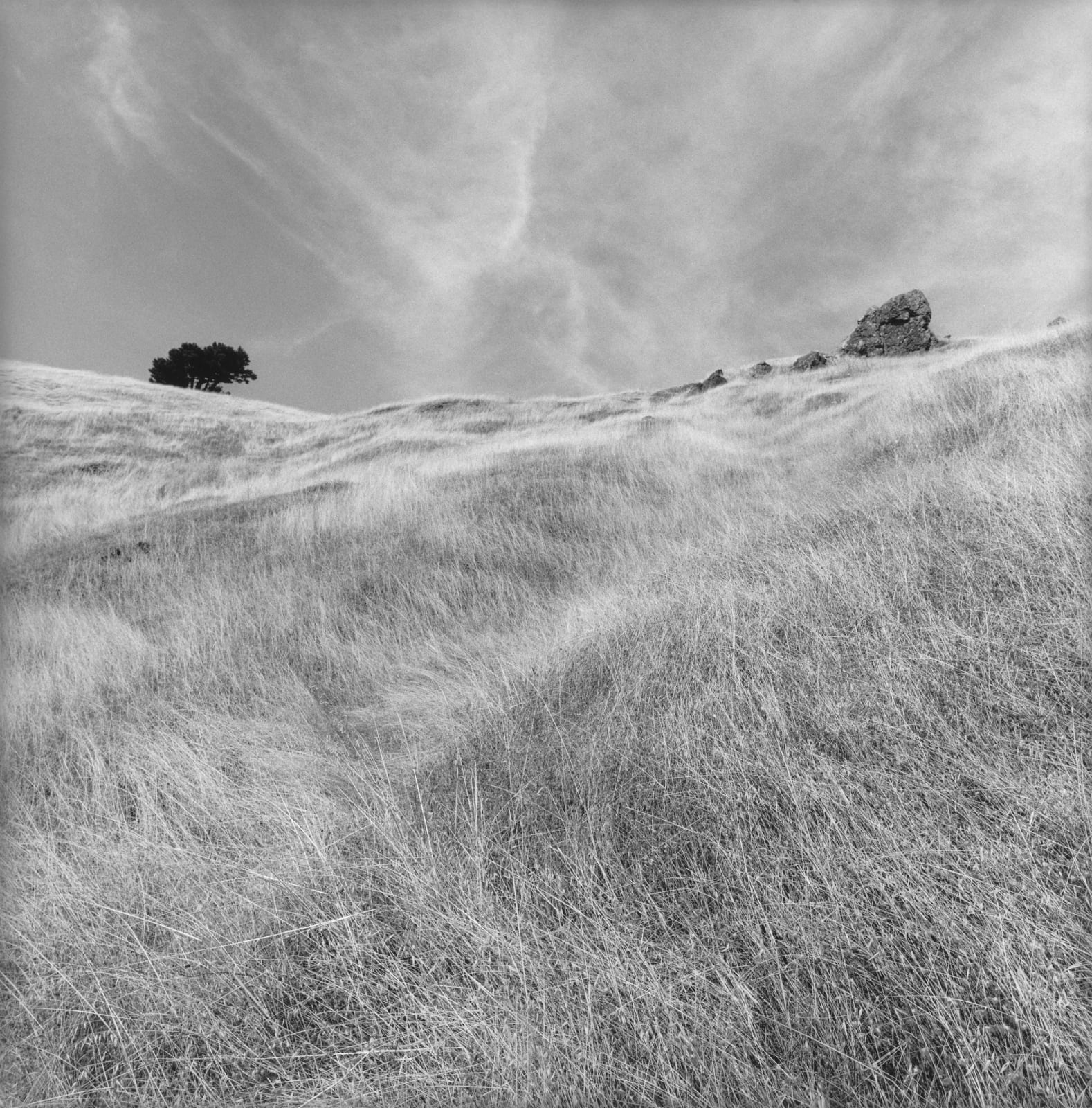 Lee Friedlander, Stinson Beach, California, 2003/printed 2004