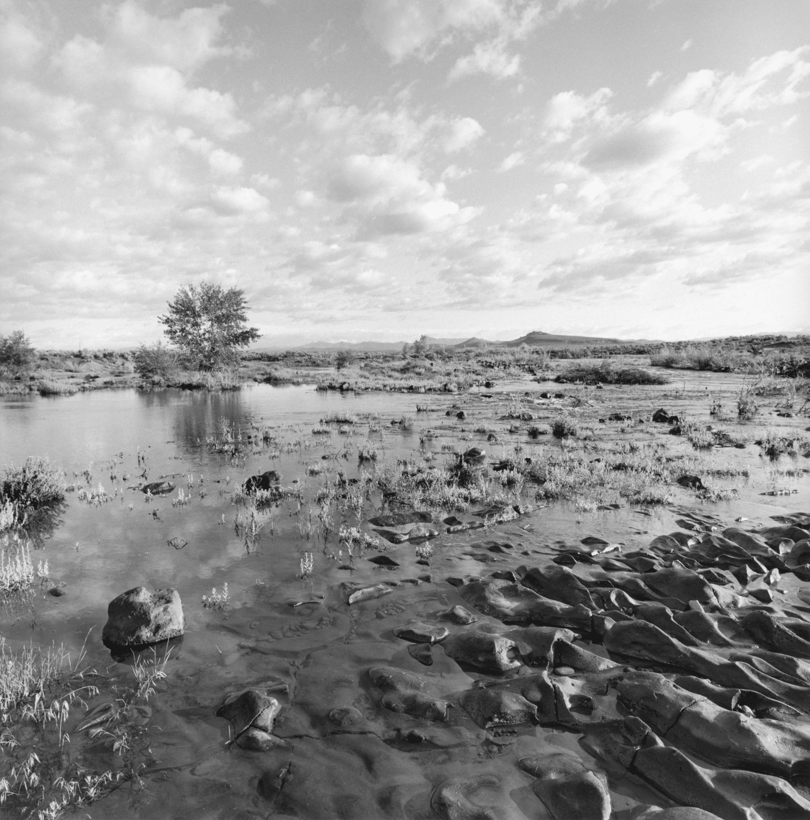 Lee Friedlander, Idaho, 1993 / printed 2000s