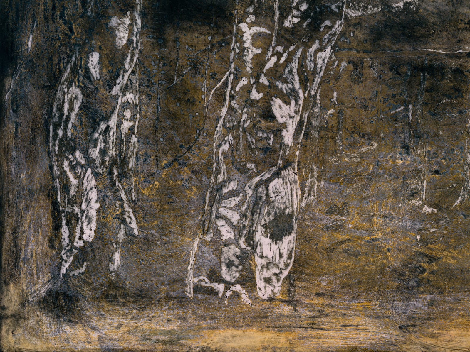 Theodore Ereira-Guyer, The past imperfect, 2024–25