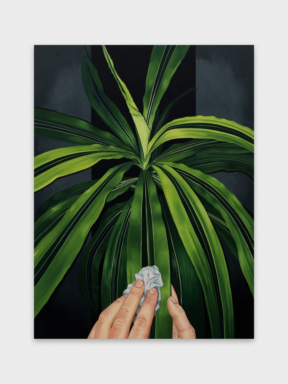 Sara Suppan, Dust, 2022