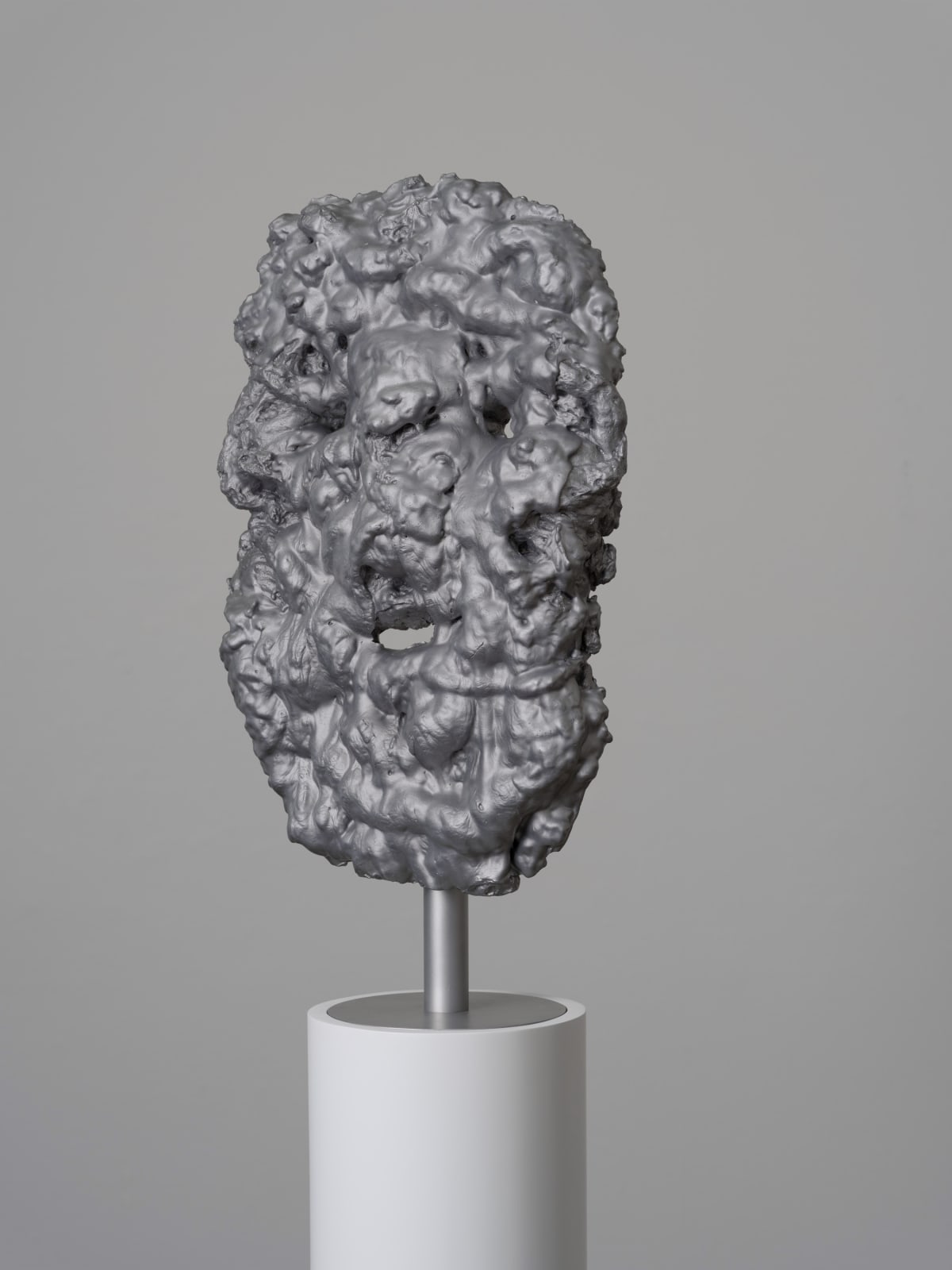 Theodore Ereira-Guyer, Endless night (south), 2023–25