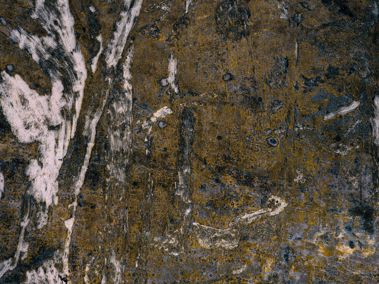 Theodore Ereira-Guyer, The past imperfect, 2024–25