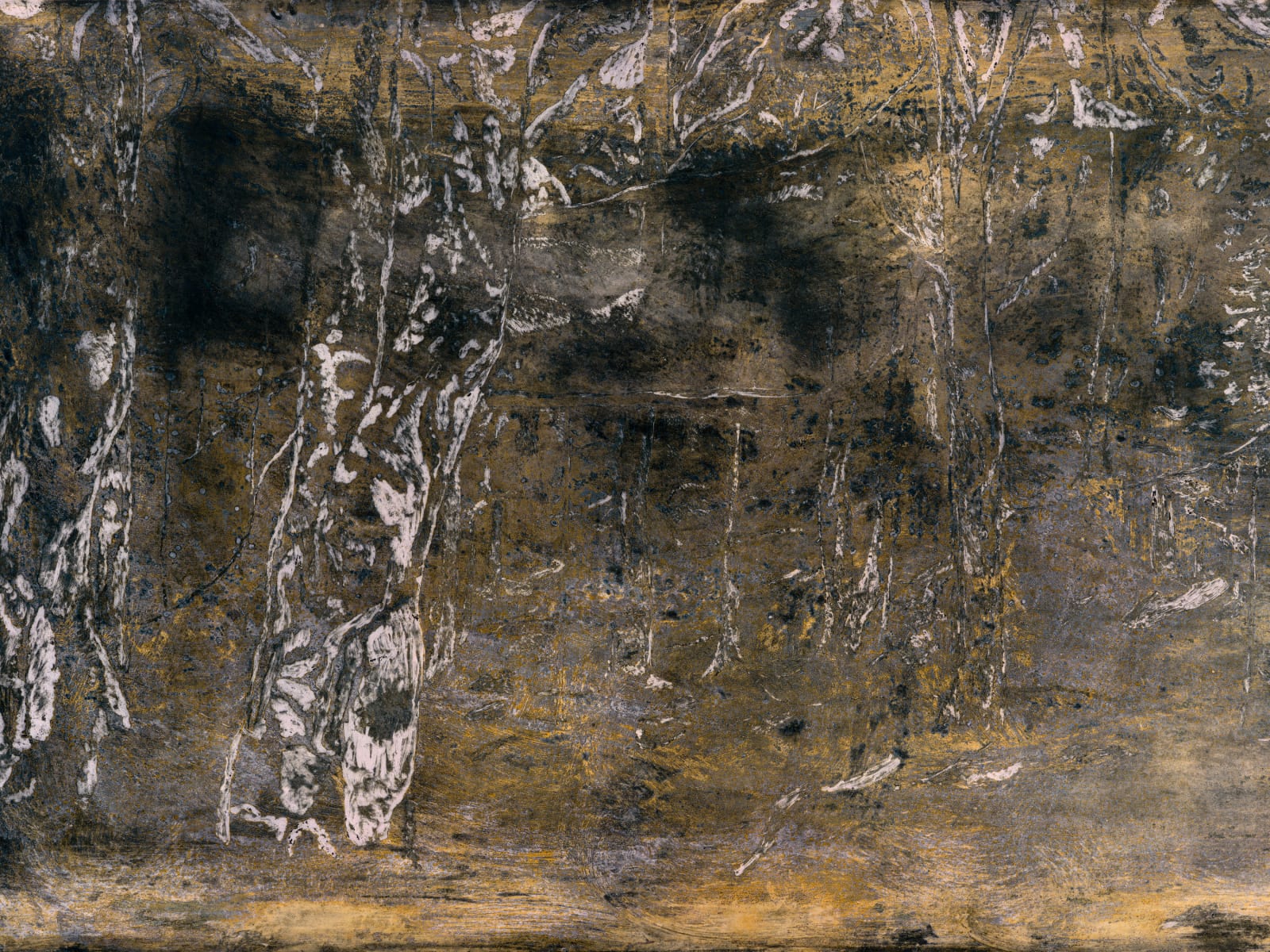 Theodore Ereira-Guyer, The past imperfect, 2024–25