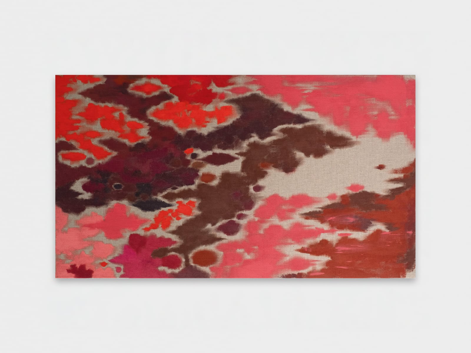 Anna Johnson, Habit Rouge, 2024