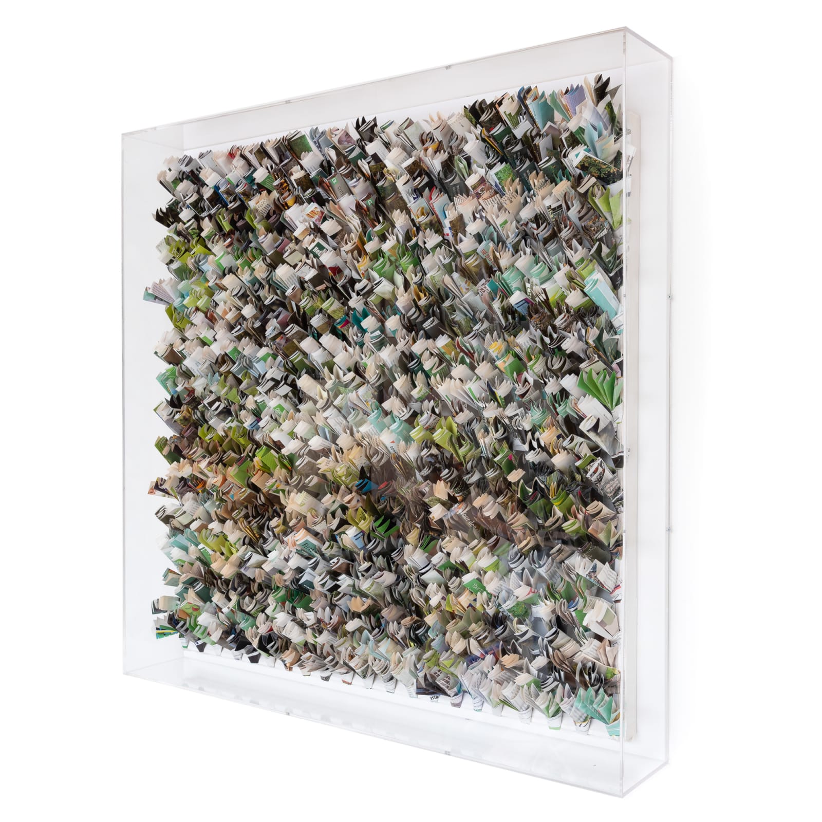 Robyn Thomas, Foliage, 2019