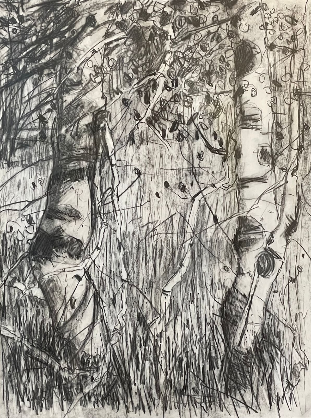 GARY VINCENT, ASPEN 6