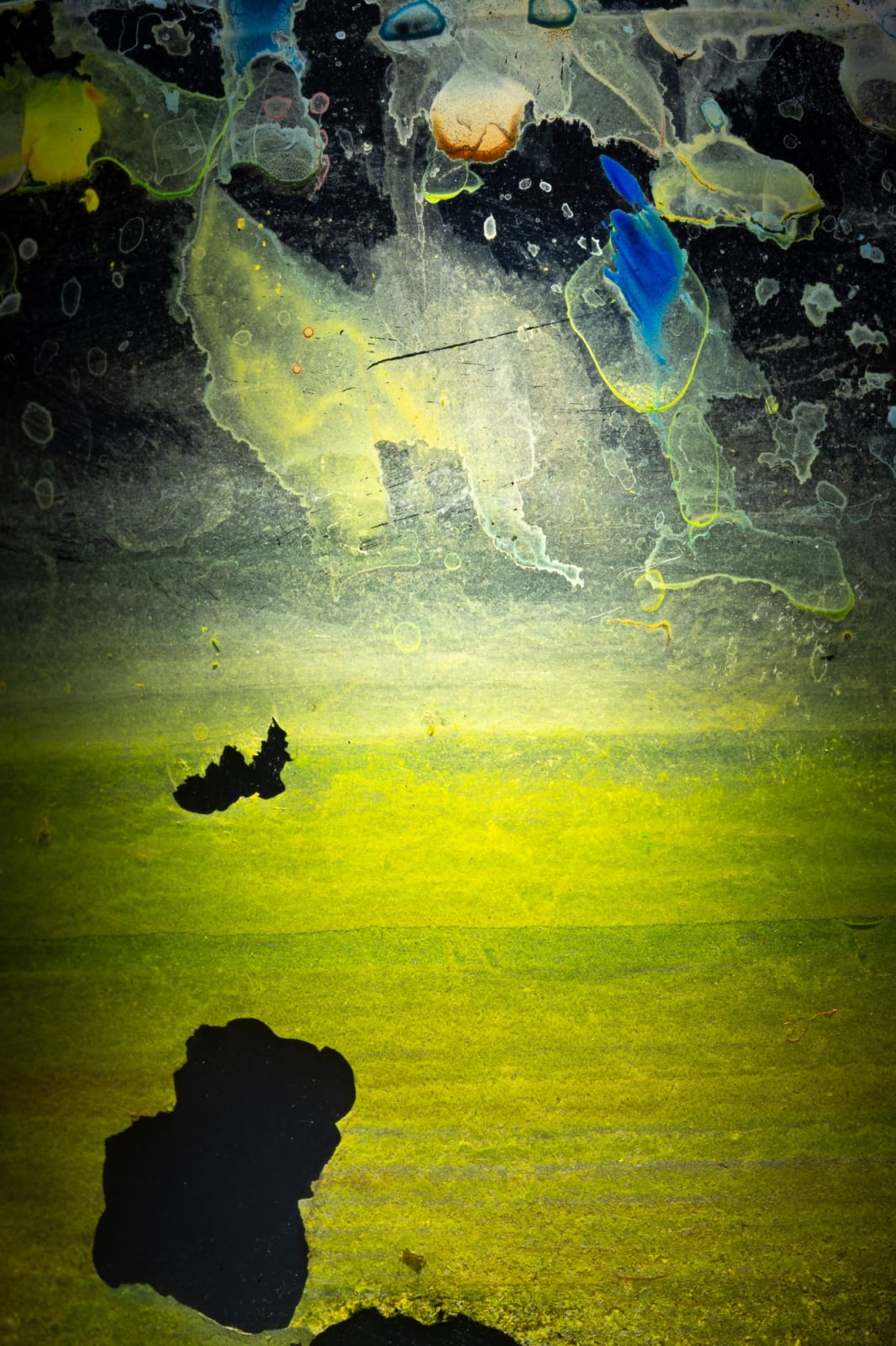 HELÉNA DUPRE THOMPSON, Detritivore (David J Torres's studio 1), 2023