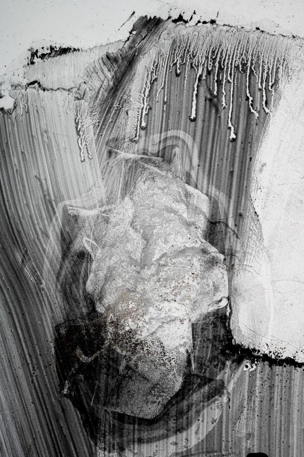 HELÉNA DUPRE THOMPSON, Detritivore (The Glaziery 1), 2024