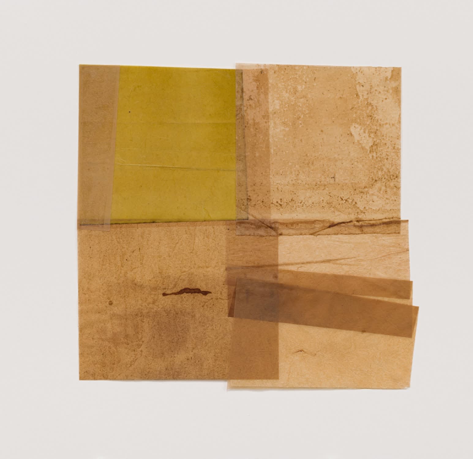 MARILYN JOYCE, THE ESSENCE OF THESE LIVING BEINGS, 2022
