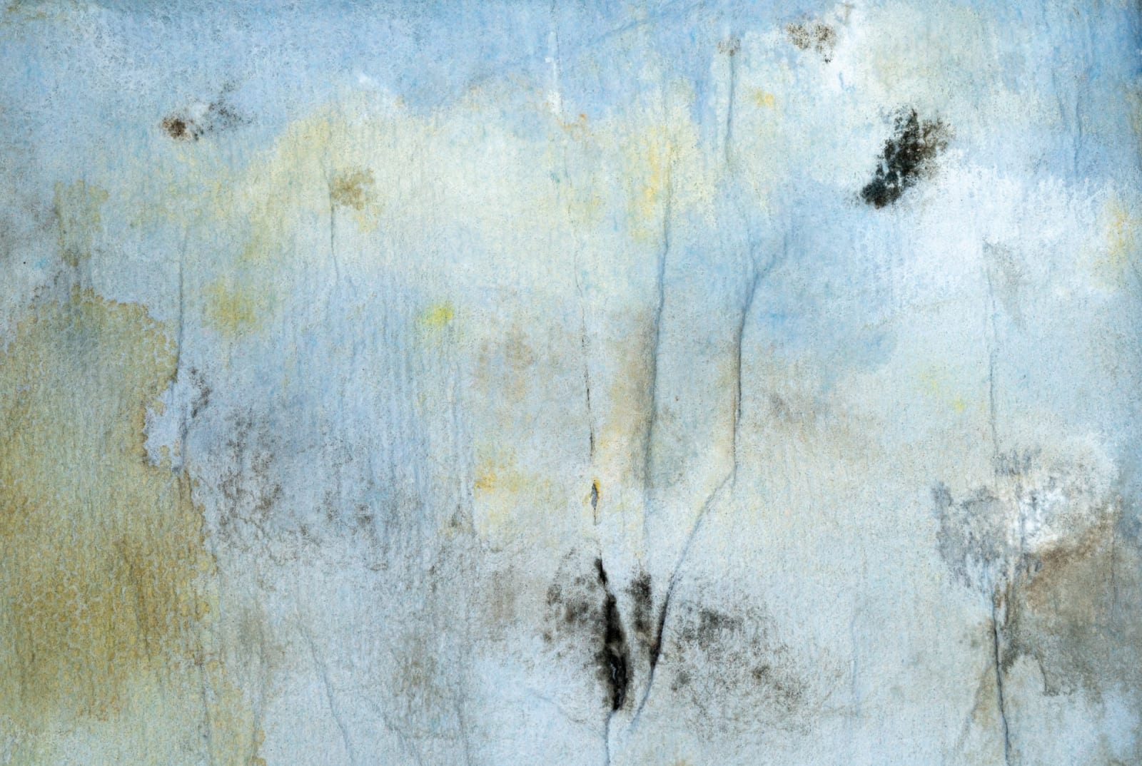 HELÉNA DUPRE THOMPSON, Detritivore (Bethany Rowland's studio 2), 2024