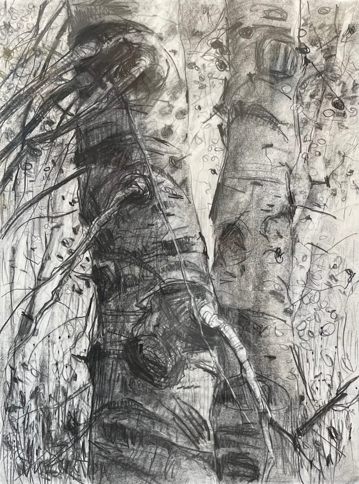 GARY VINCENT, ASPEN 7