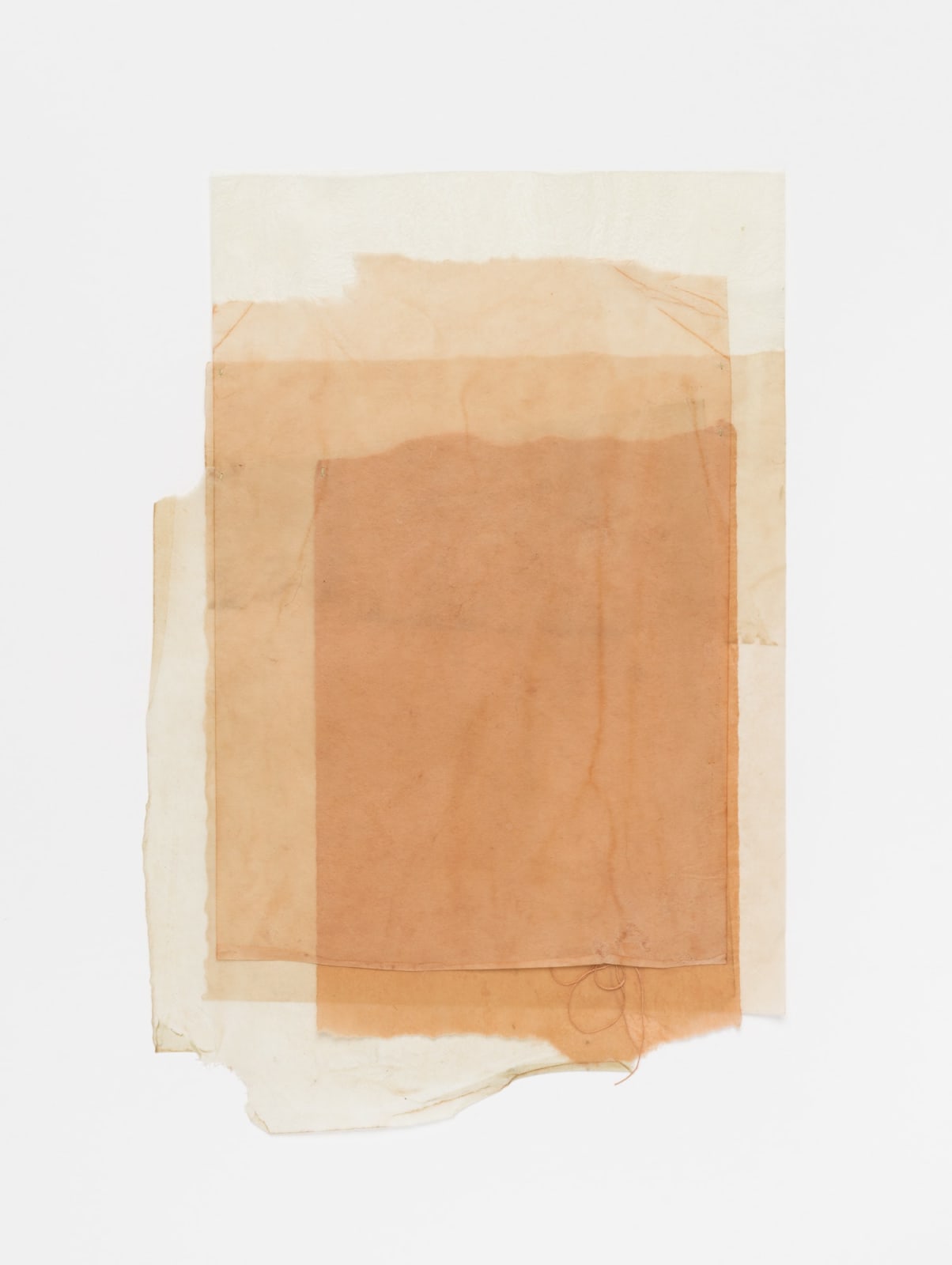 MARILYN JOYCE, OF THE LAND, 2021