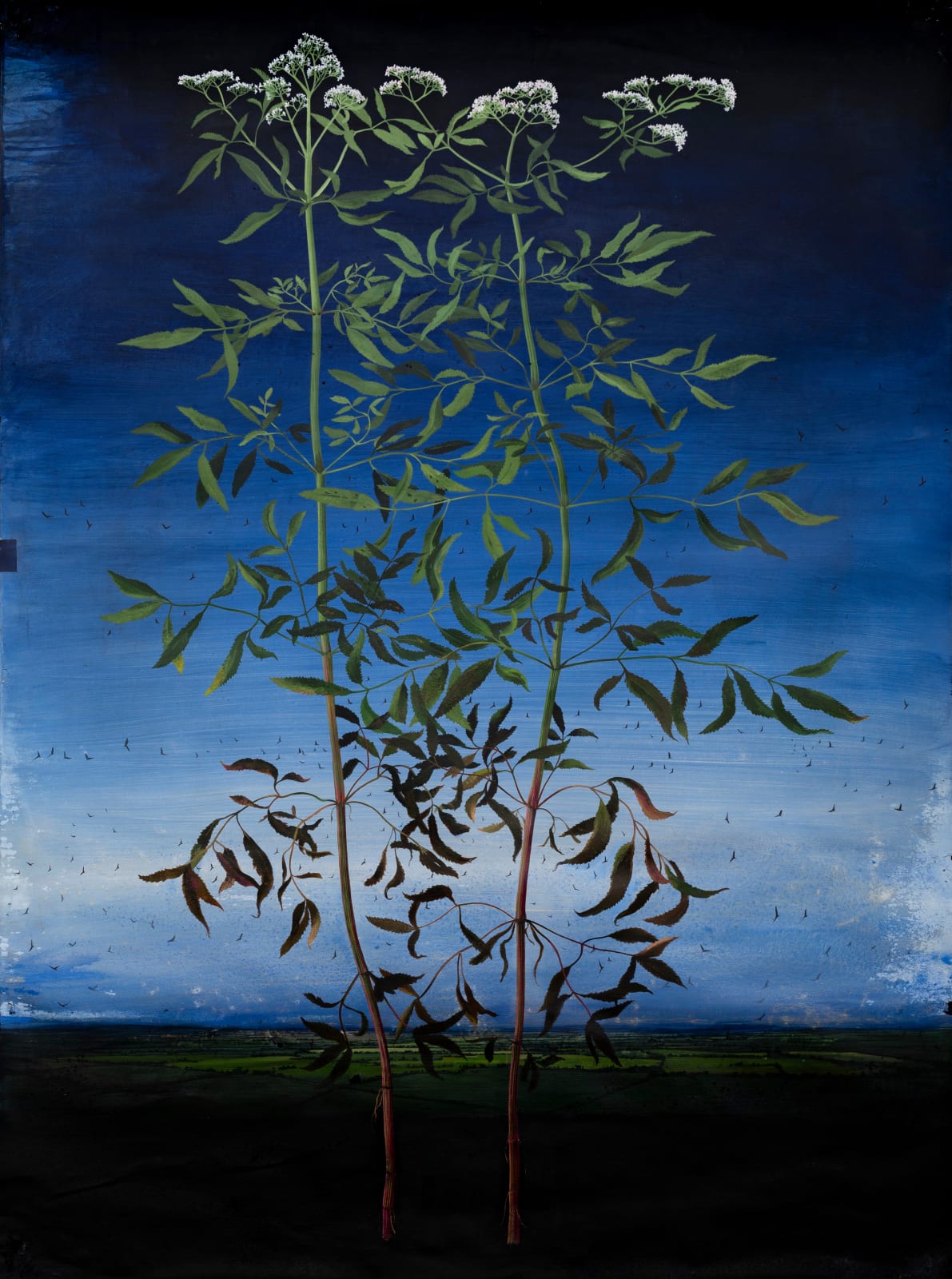 Michael Canning, Boundaries, 2019-2022