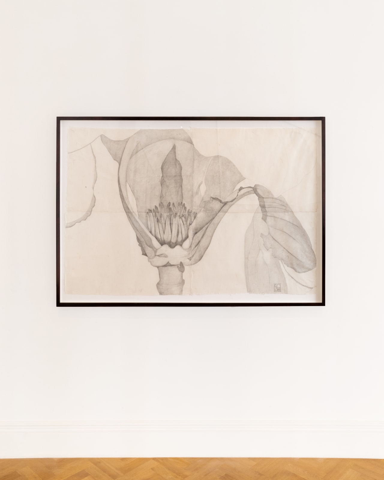 Sarah Graham, Magnolia soulangeana I, 2022