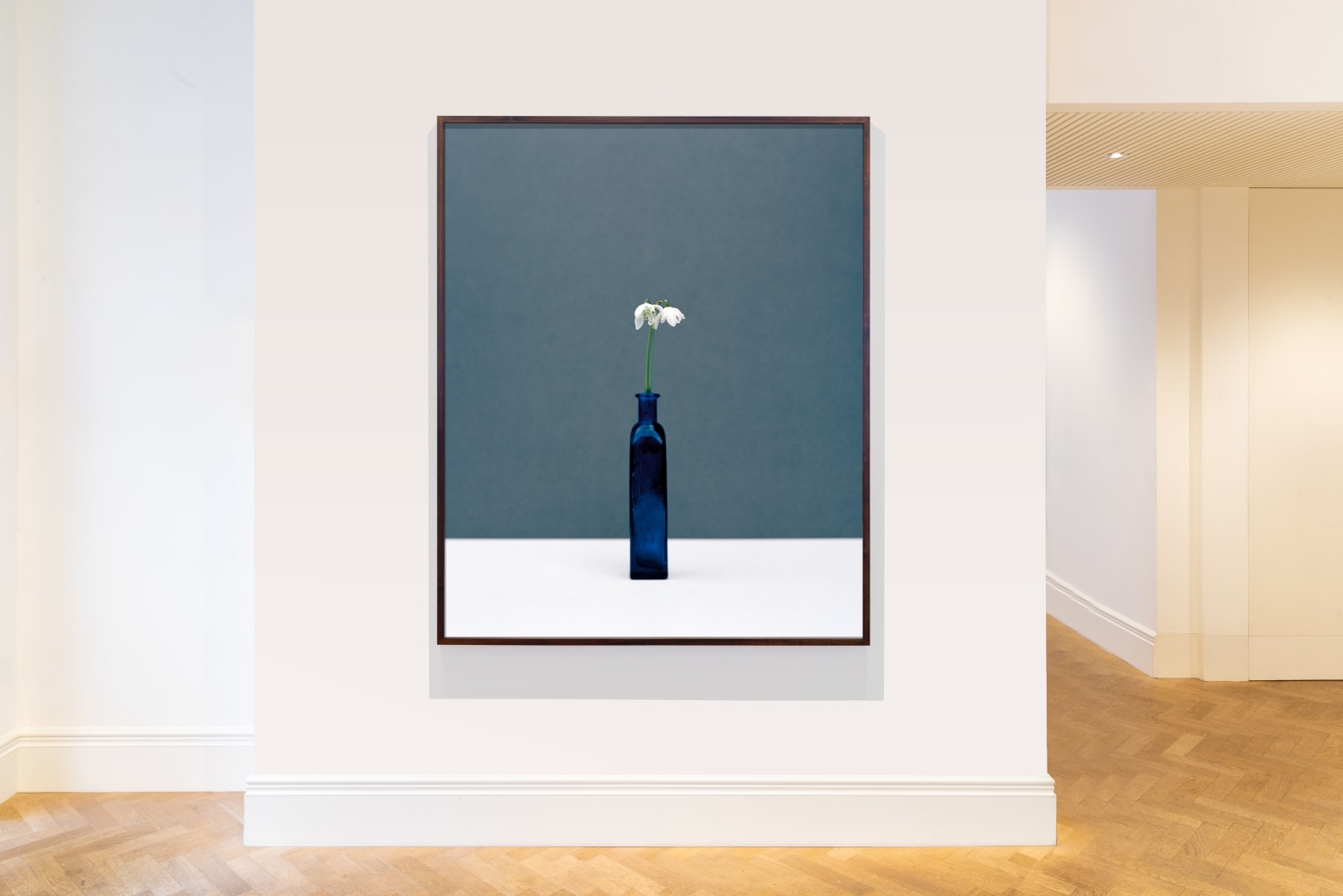 Kate Friend, Penny Rimbaud, Snowdrop, Essex, 2020