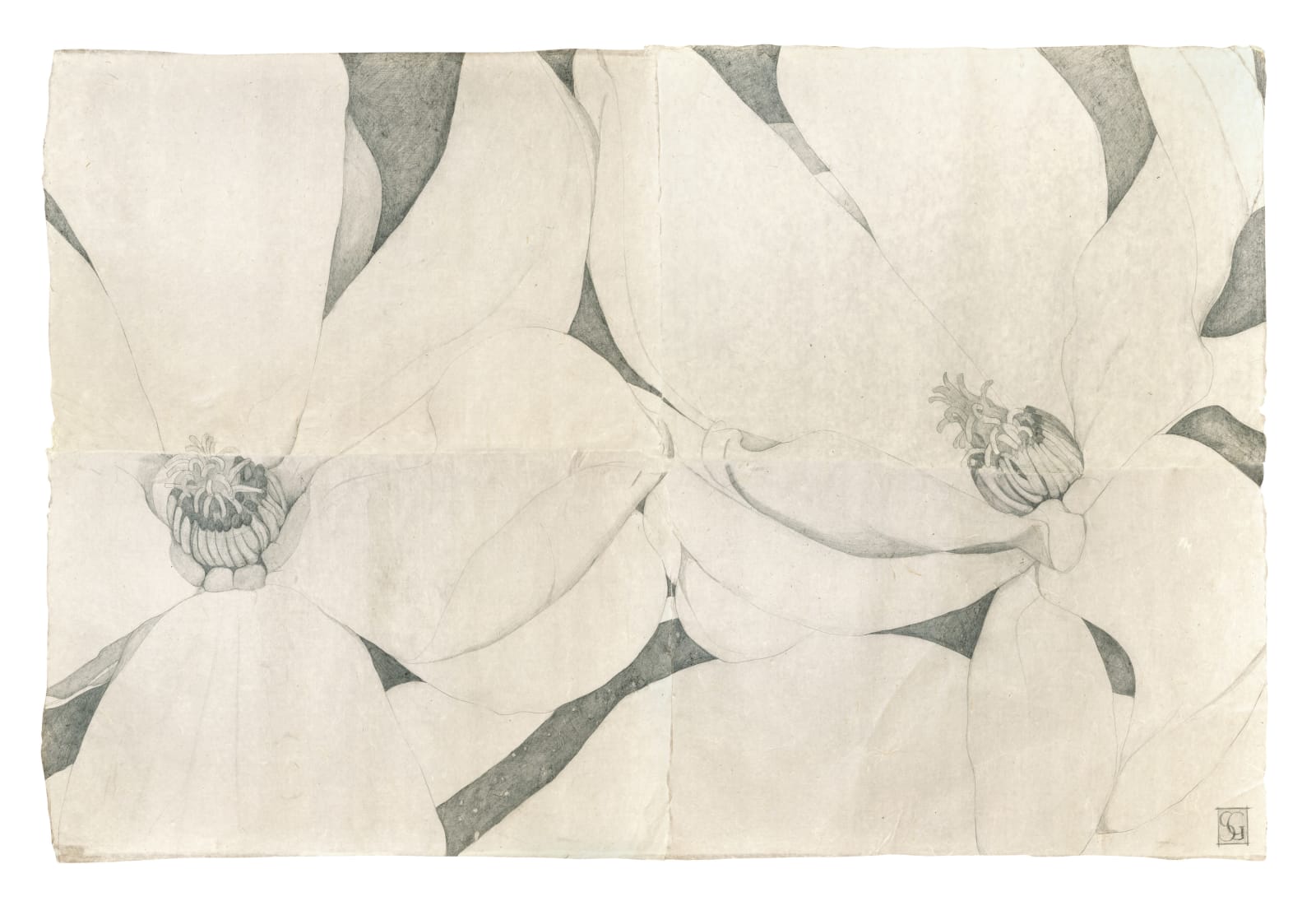 Sarah Graham, Magnolia soulangeana III, 2022