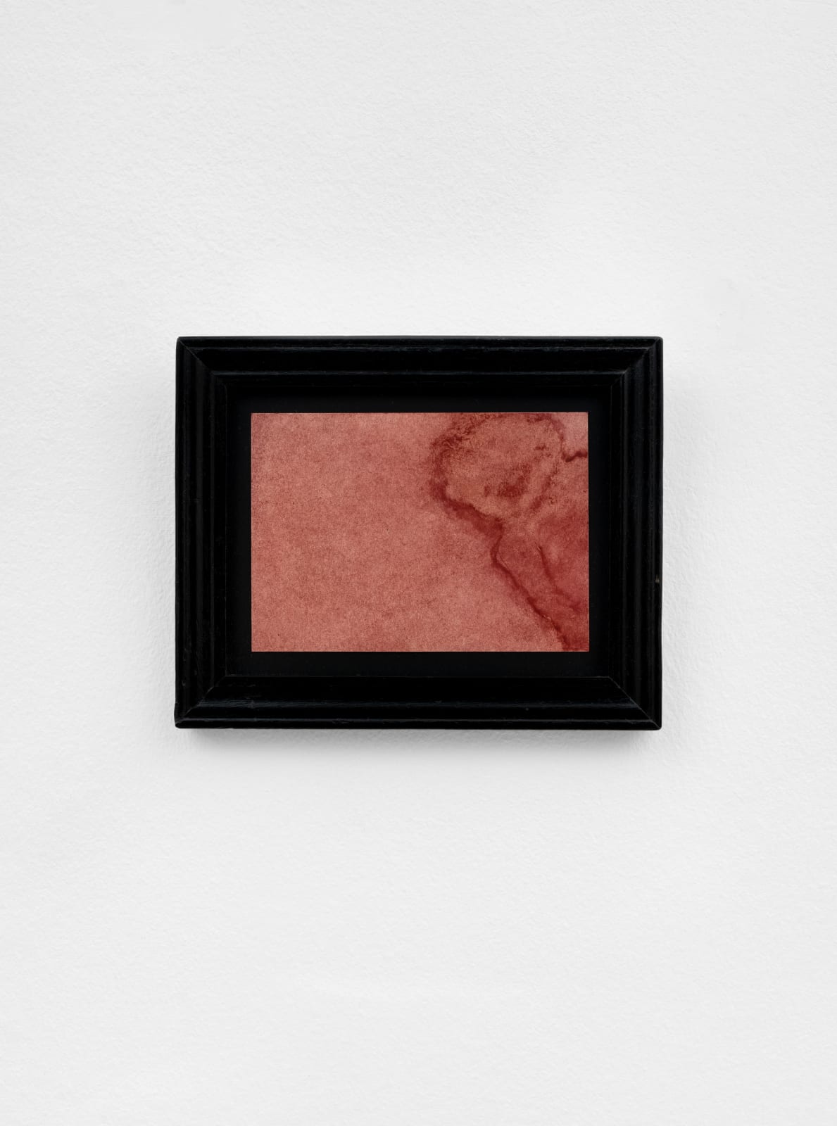 Anne-Laure Zevi, Untitled, 2022