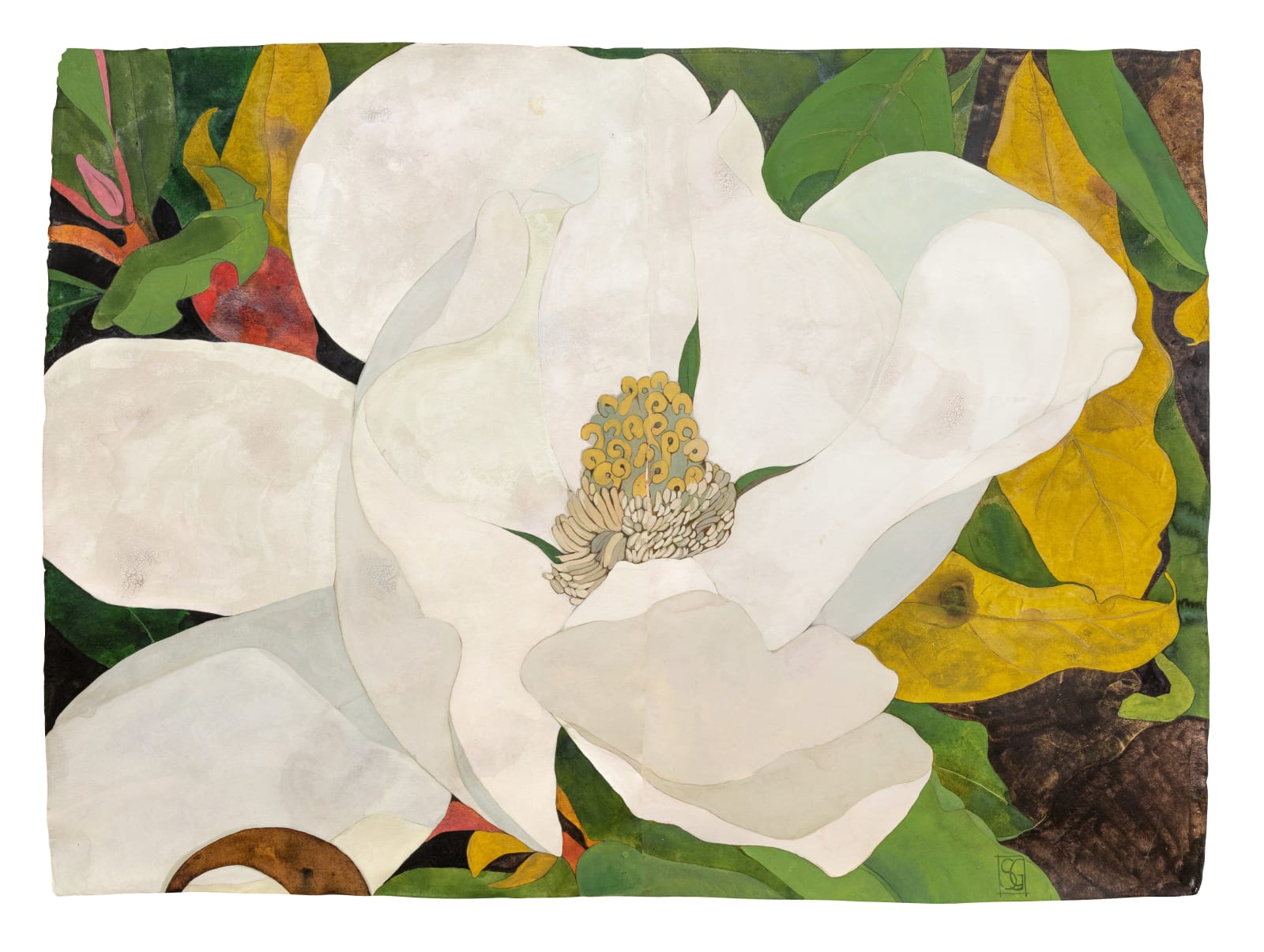 Sarah Graham, Magnolia grandiflora III, 2022