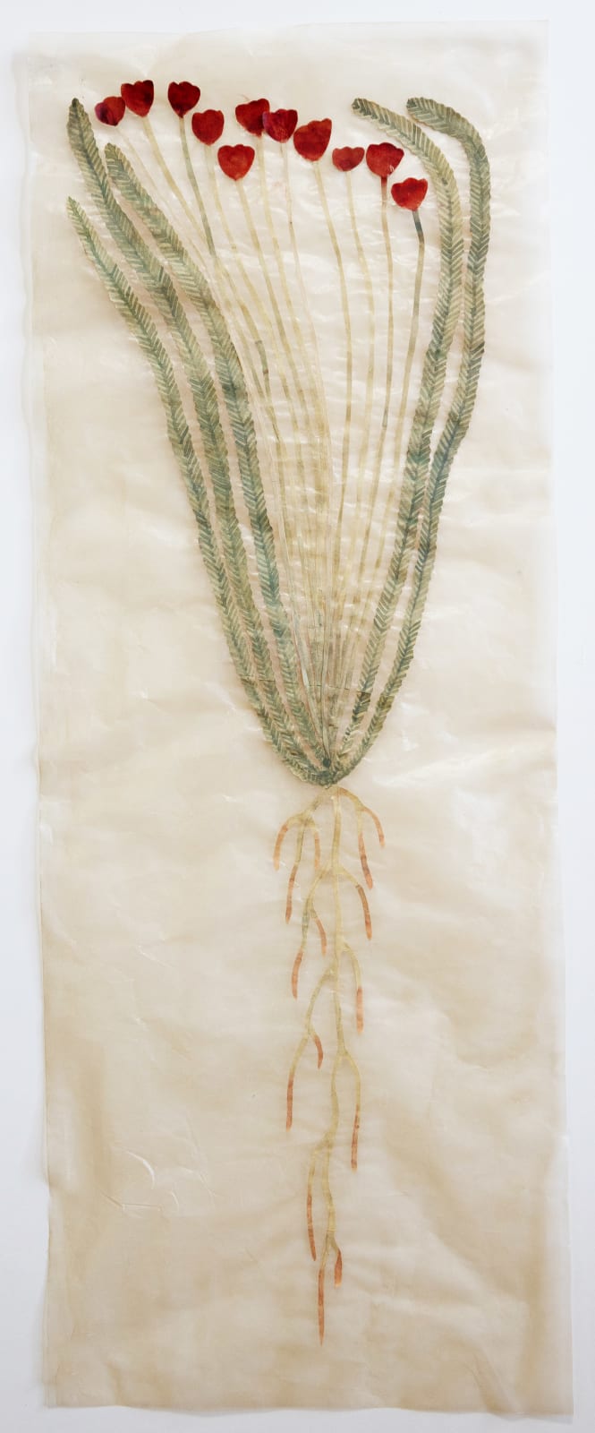 Fumi Imamura, One flower (breath) (花ひとつ(呼吸), 2024